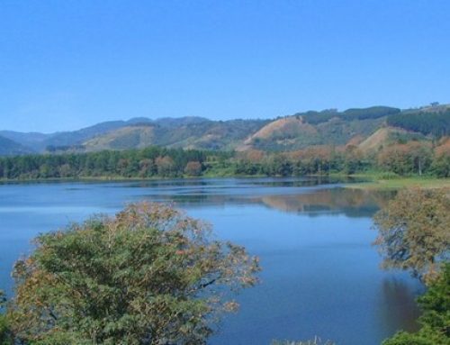 Lago de Cachi